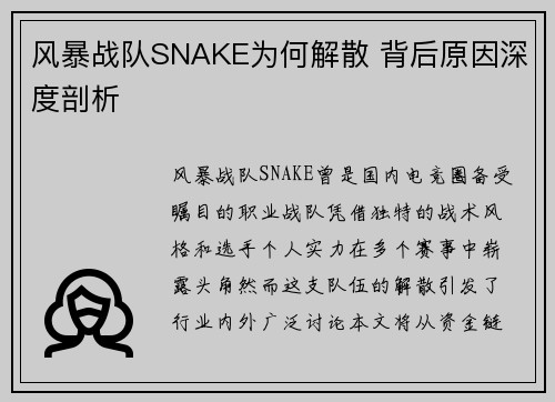 风暴战队SNAKE为何解散 背后原因深度剖析